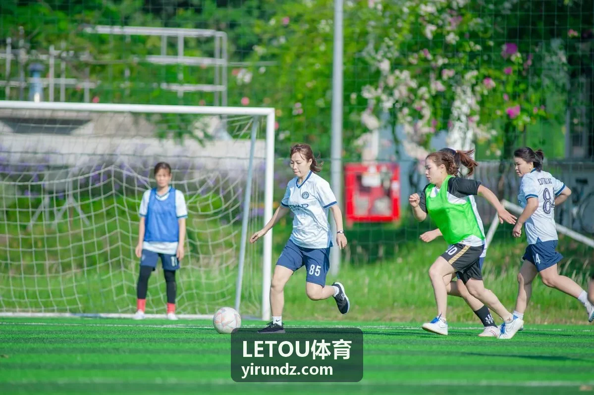 LETOU体育竞技场馆背景图