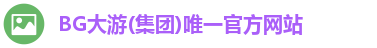 BG大游(集团)唯一官方网站